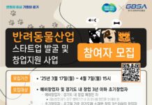 경기도, 반려동물산업 예비/초기창업자 모집! 20개사에 최대 2천만 원 지원