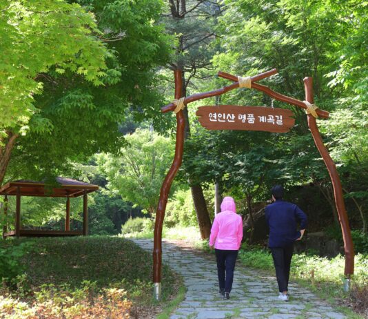“맑은 계곡물과 울창한 숲길이 있는 생태관광의 명소 연인산 도립공원을 방문하세요”