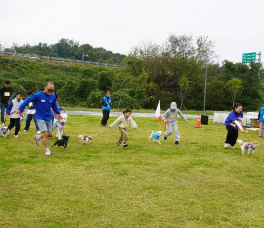 `2025 반려마루화성 홈커밍데이` 열려, 반려가족 300명과 함께 교감 나눠