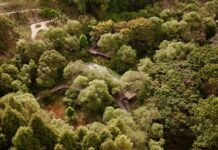 경기도 물향기수목원, ‘무장애 나눔길 사후관리’ 우수기관 선정