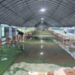 경기도, ‘26년 한봉(토종벌) 꿀 브랜드 생산·유통기반 지원’ 본격 추진