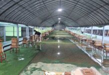 경기도, ‘26년 한봉(토종벌) 꿀 브랜드 생산·유통기반 지원’ 본격 추진