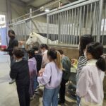 경기도, 초중고 학생·장애인 등 1만 5천명 승마체험 지원