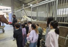 경기도, 초중고 학생·장애인 등 1만 5천명 승마체험 지원