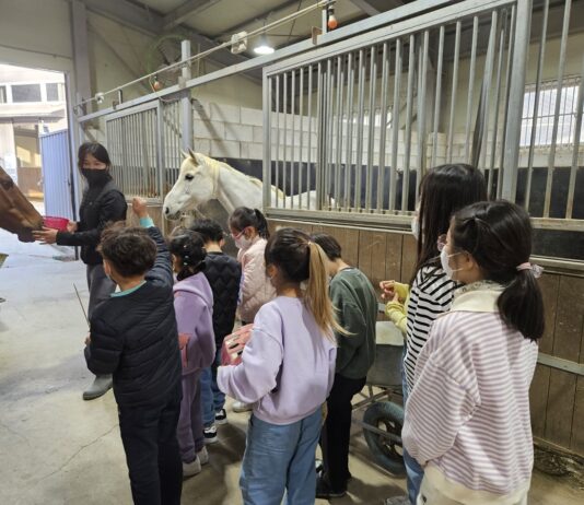 경기도, 초중고 학생·장애인 등 1만 5천명 승마체험 지원