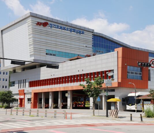 “사람 구하러 갔는데 개가 덥석”…119출동 시 ‘반려견 주의’ 당부